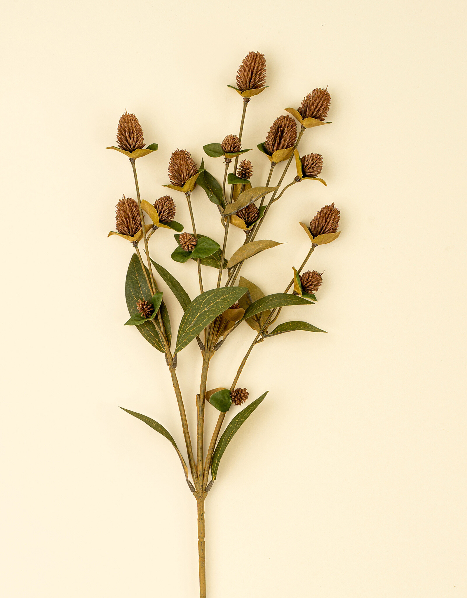 Indaba Globe Amaranth Spray, Brown