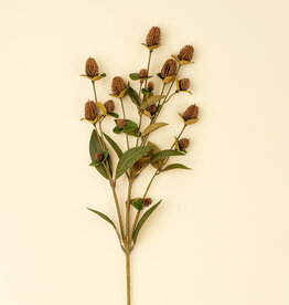 Indaba Globe Amaranth Spray, Brown