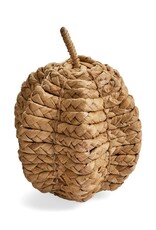 Pine Centre/Adv Water Hyacinth Pumpkin