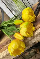 Tri W Fresh Touch  Peony Tulip Bundle, Yellow