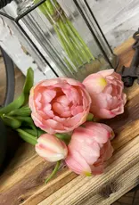 Tri W Fresh Touch  Peony Tulip Bundle, Pink