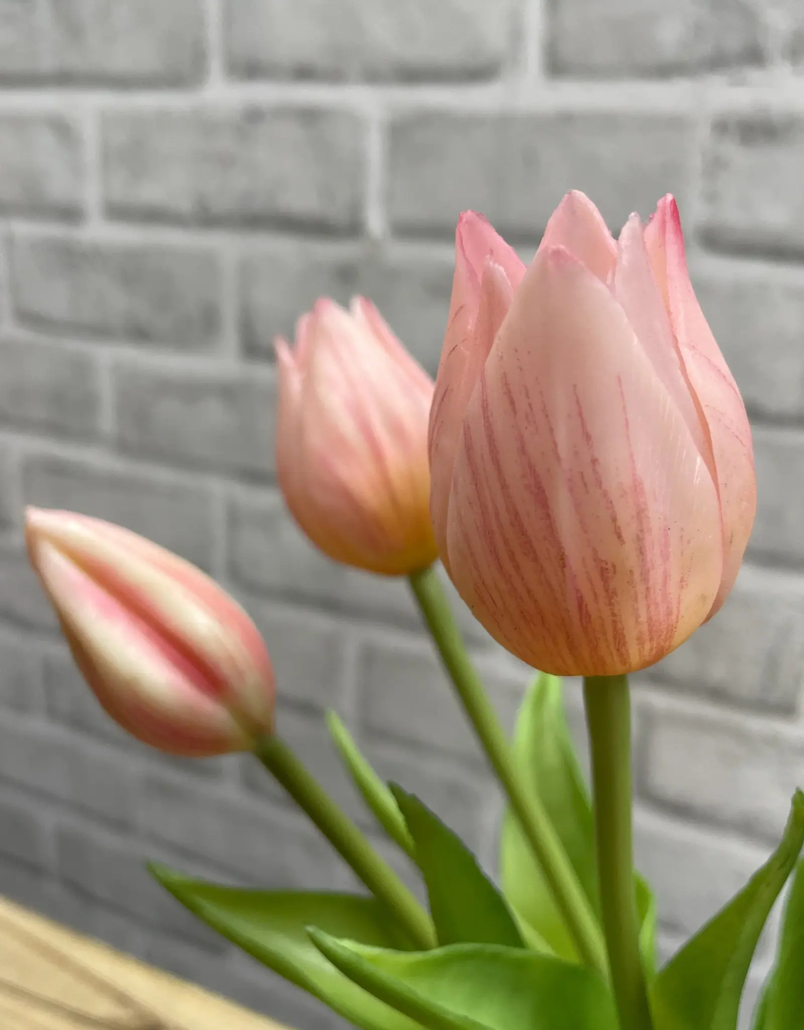 Tri W Fresh Touch  Mini Tulip Bundle, Pink