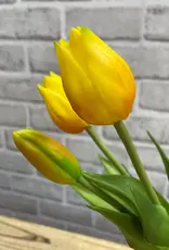 Tri W Fresh Touch  Mini Tulip Bundle, Yellow