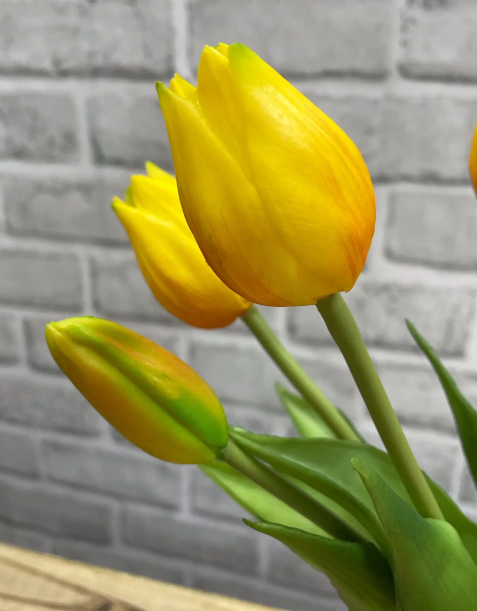 Tri W Fresh Touch  Mini Tulip Bundle, Yellow