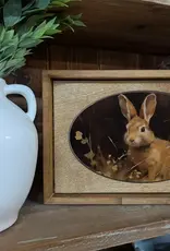 Redeemed Decor Framed Art, Bunny 12x8"