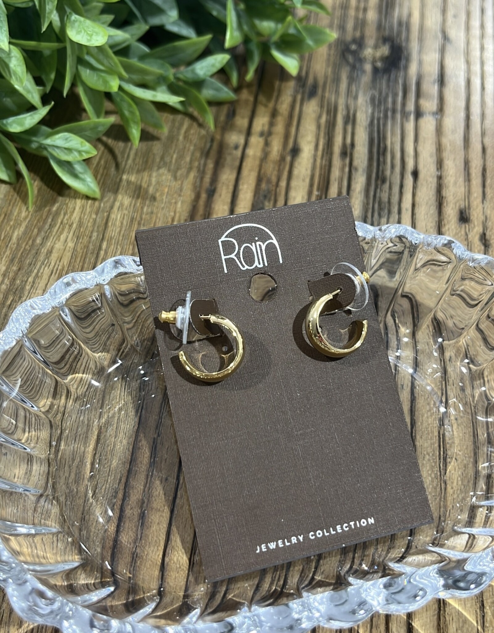 Rain Jewlery Gold Tiny Half Hoop Earrings