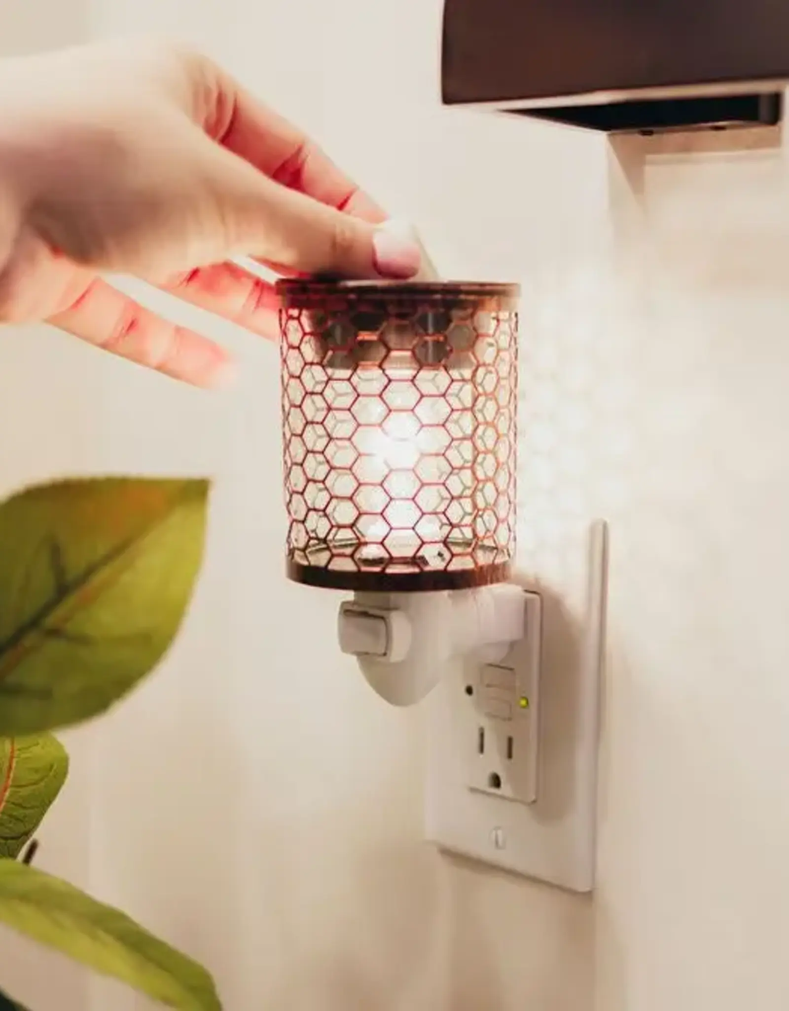 Prairie Creek Candles Wax Melts, Island Pineapple