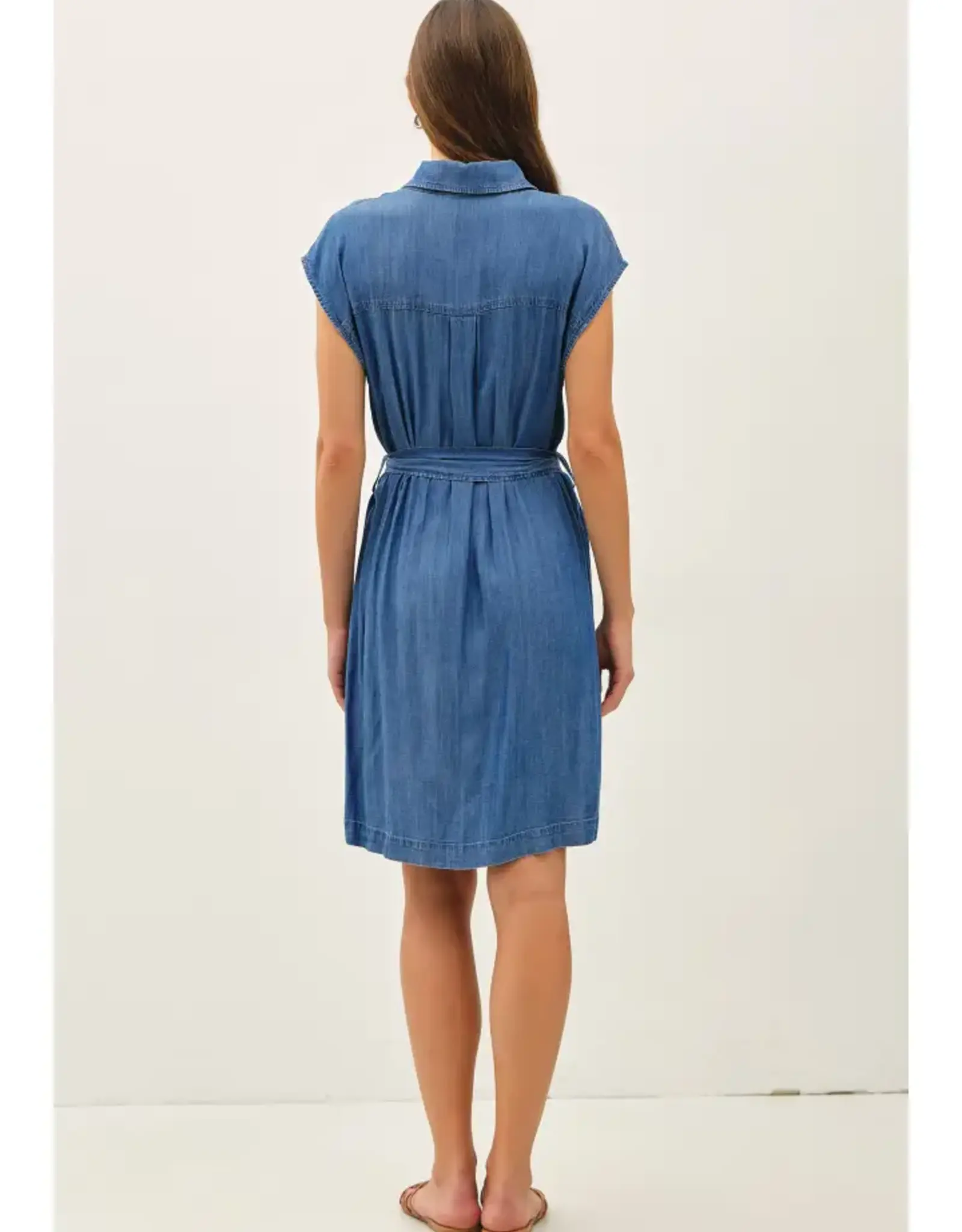 Tencel Button Up Dress