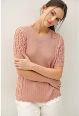 Pointelle Scalloped Short Sleeve Top