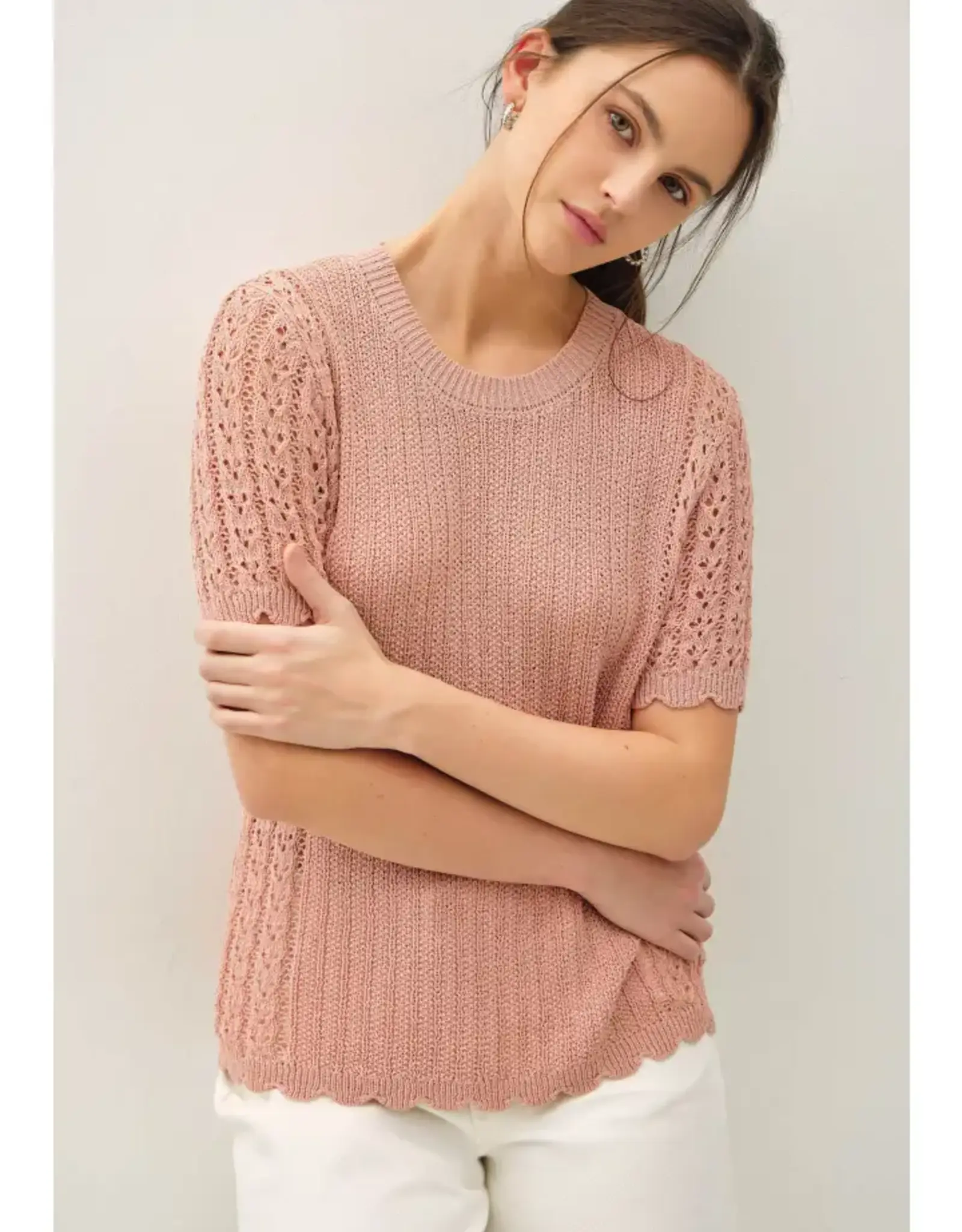 Pointelle Scalloped Short Sleeve Top