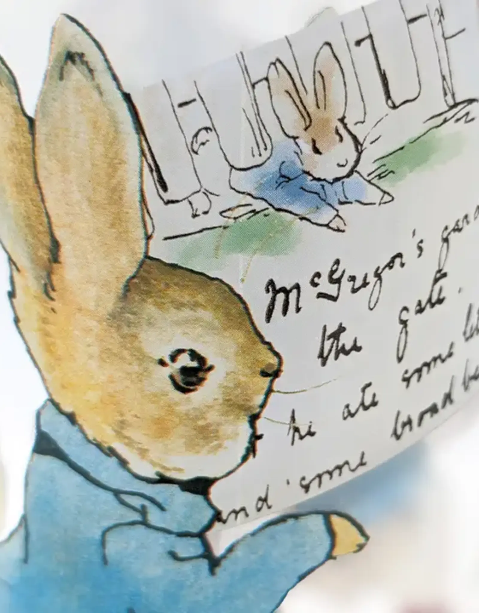 Robert Frederick Ltd Peter Rabbit, Water Bottle