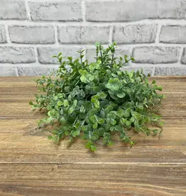 Tri W 8.5" Baby Tears Half Ball