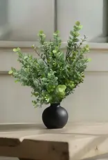 Tri W 17" Seeded Eucalyptus Bush