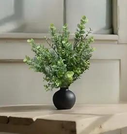 Tri W 17" Seeded Eucalyptus Bush