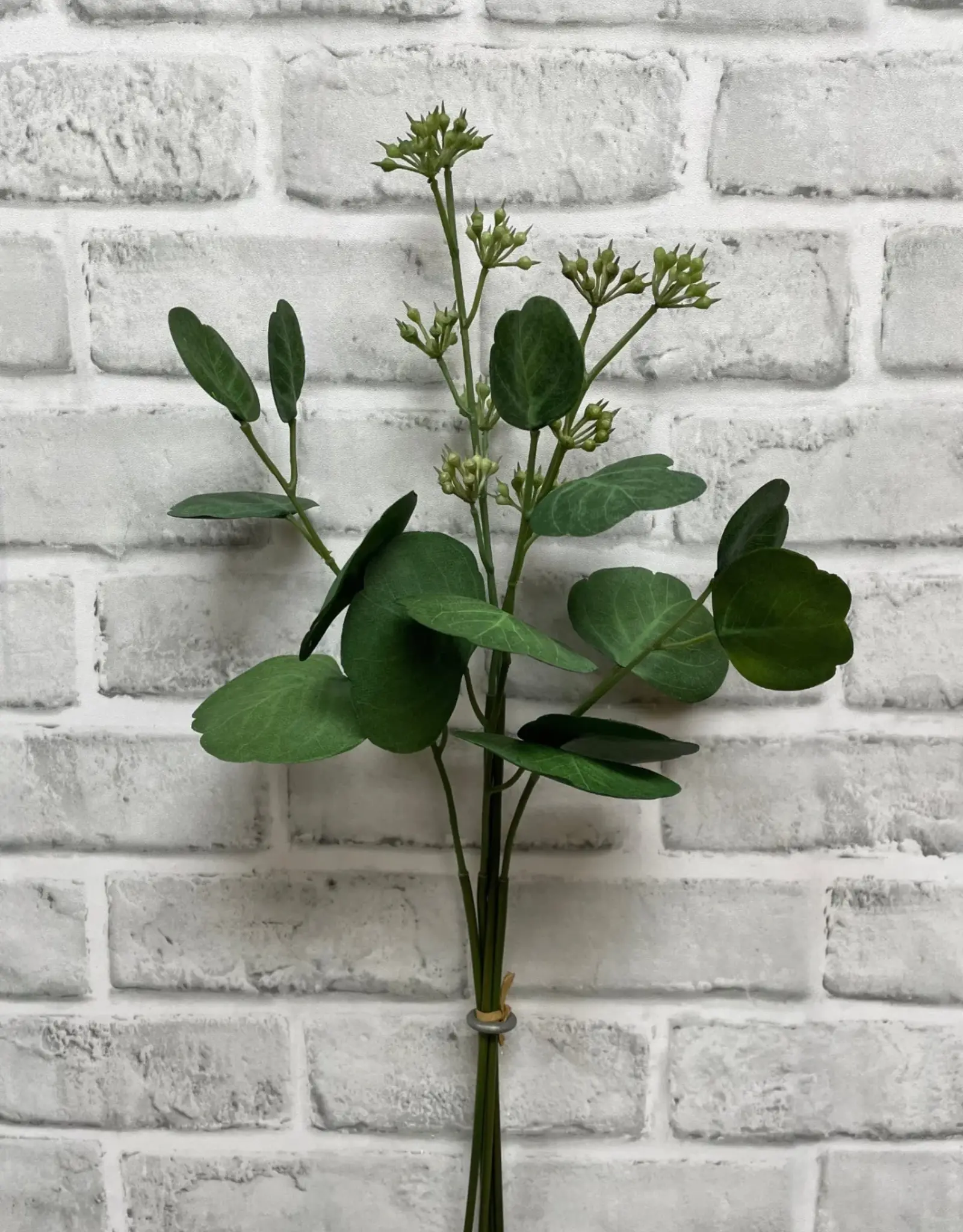 Tri W 19.5" Fresh Touch Eucalyptus Buch