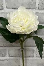 Tri W 23" Fresh Touch Peony Stem