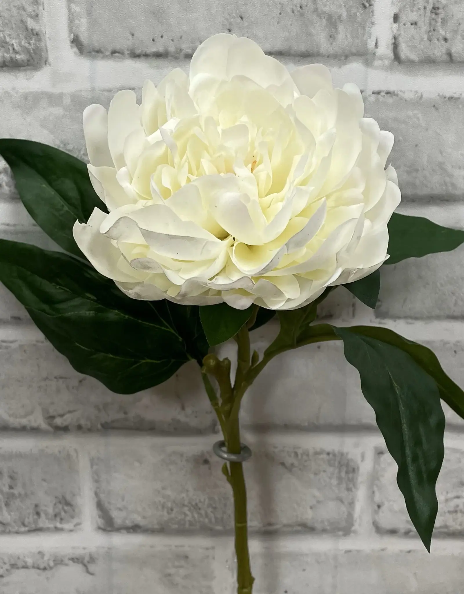 Tri W 23" Fresh Touch Peony Stem