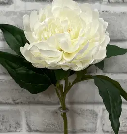 Tri W 23" Fresh Touch Peony Stem