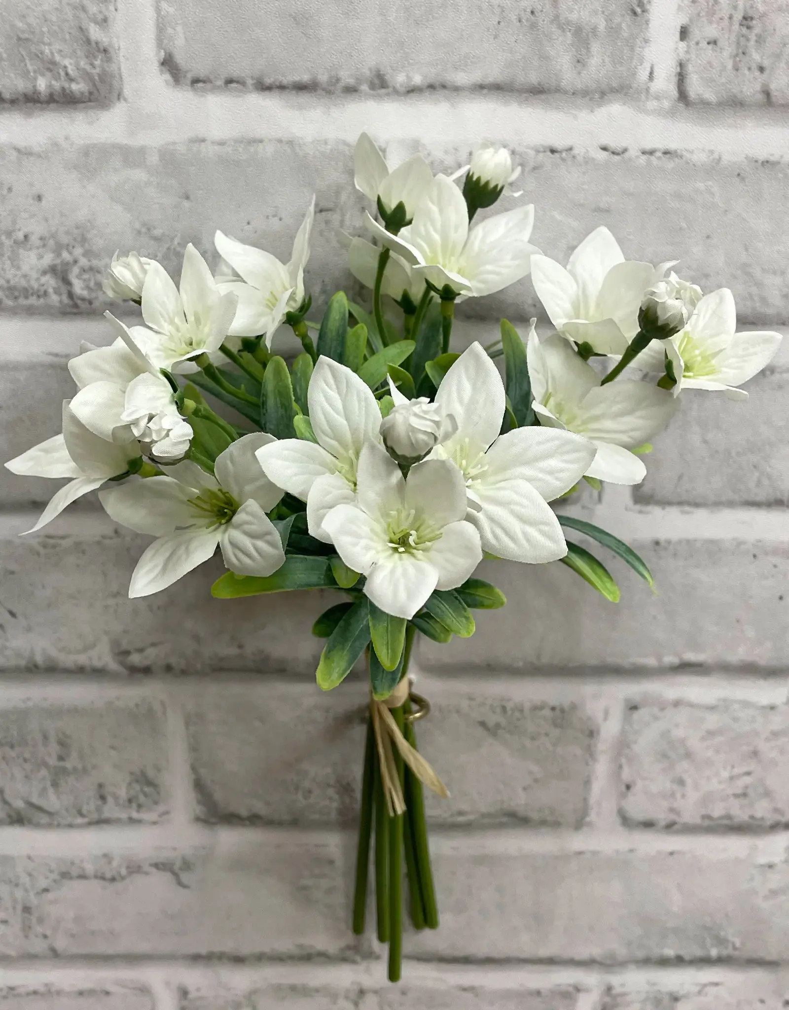 Tri W 11.5" Balloon Flower Bundle, White