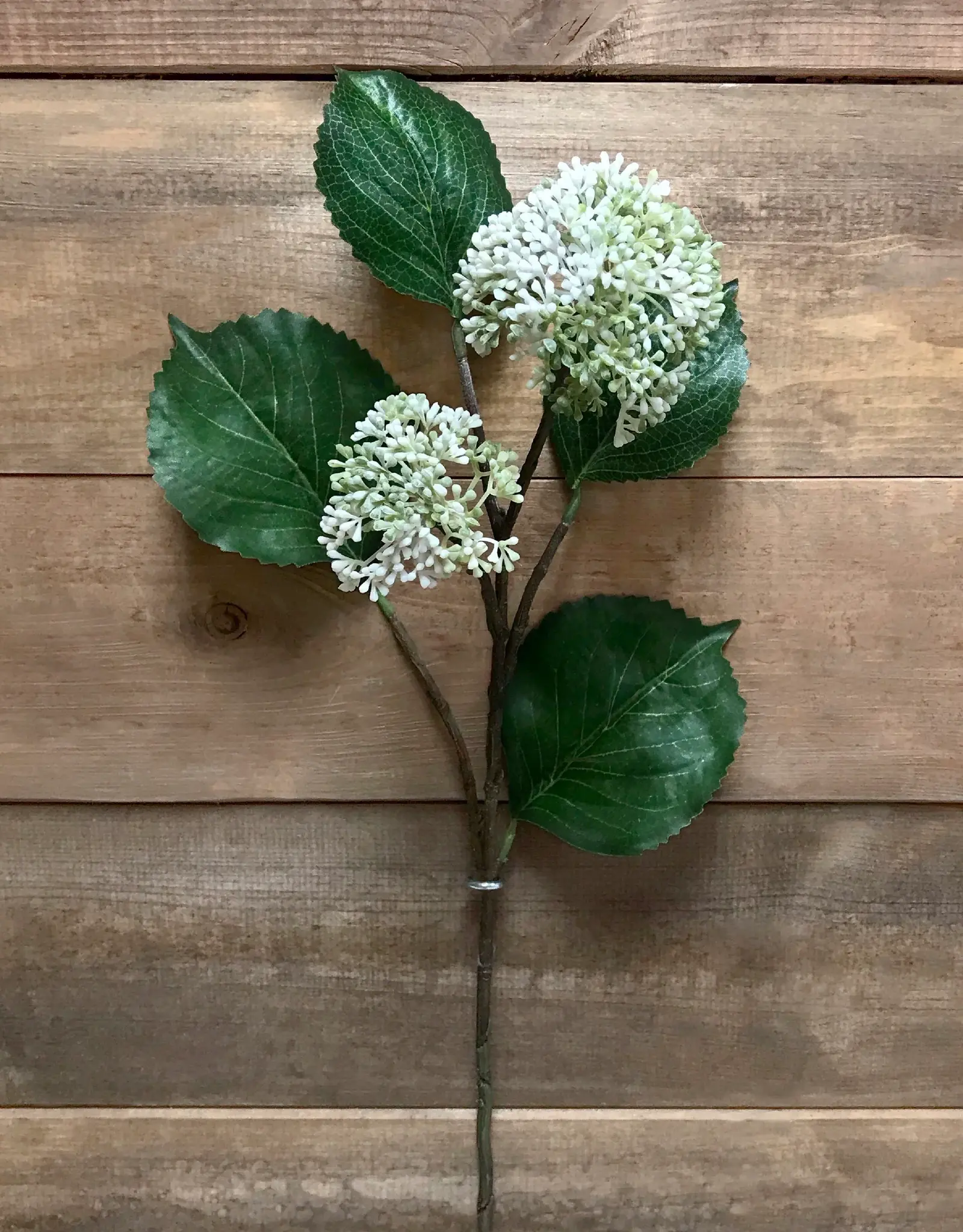 Tri W 28" Patrinia Spray, White