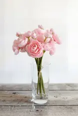 Tri W 11" Ranunculus Bundle, Light Pink
