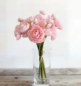 Tri W 11" Ranunculus Bundle, Light Pink