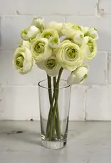 Tri W 11" Ranunculus Bundle, Green