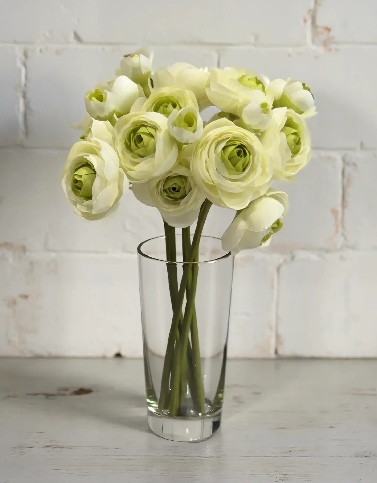 Tri W 11" Ranunculus Bundle, Green
