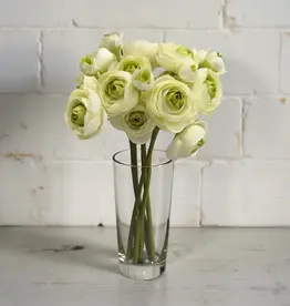 Tri W 11" Ranunculus Bundle, Green