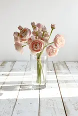 Tri W 11" Ranunculus Bundle, Blush