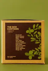 Bush Berry Sip & Thrive Organic Loose Leaf Tea Sampler Box