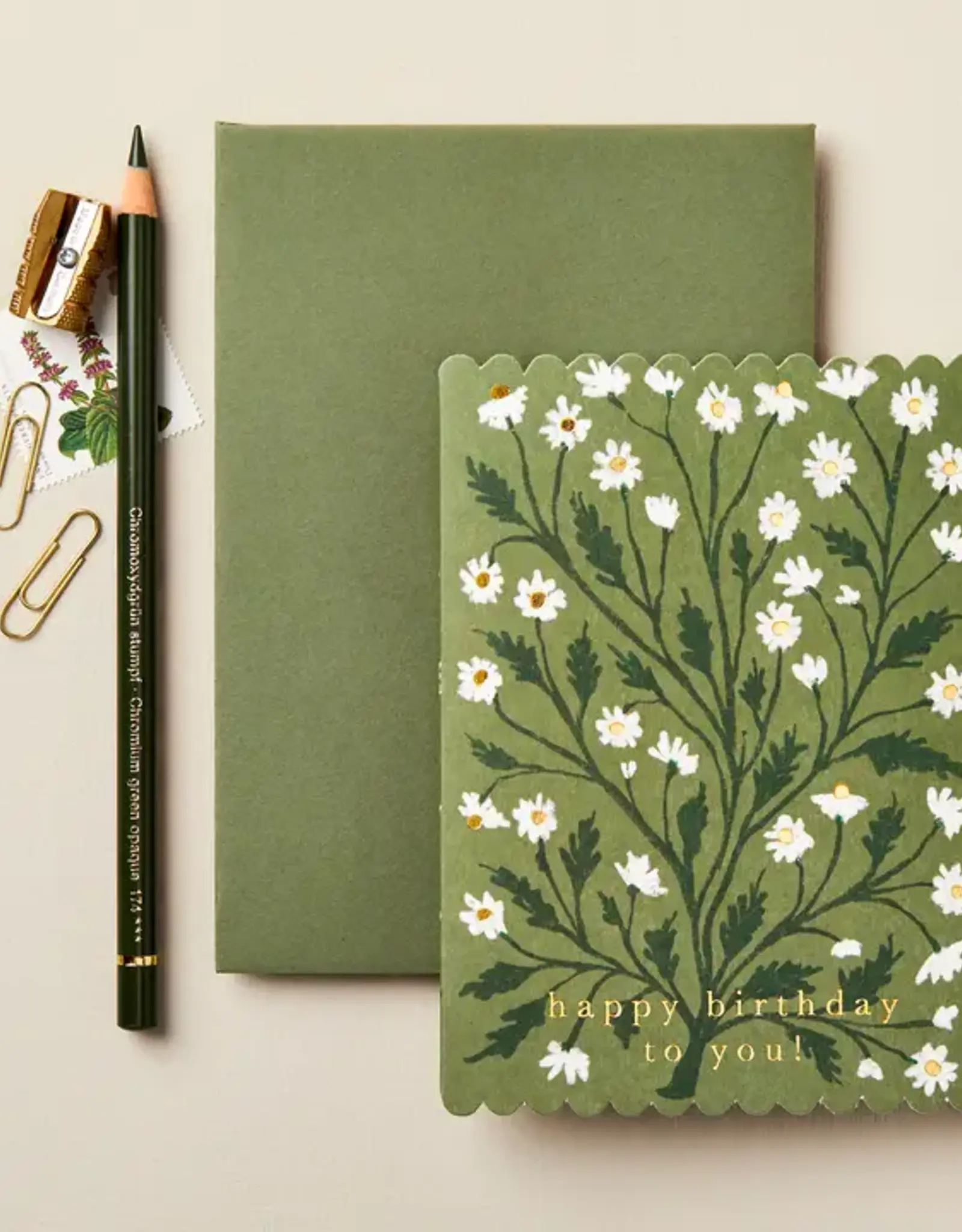 Wanderlust Paper Co Card, Daisy Happy Birthday To You