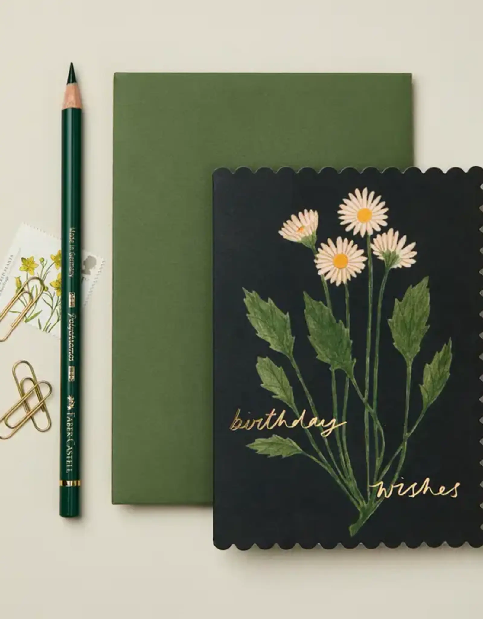 Wanderlust Paper Co Card, Botanical Daisy Birthday Wishes