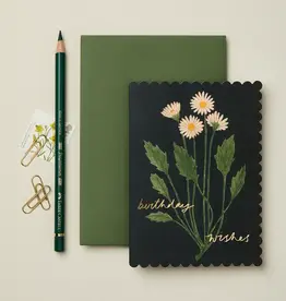 Wanderlust Paper Co Card, Botanical Daisy Birthday Wishes