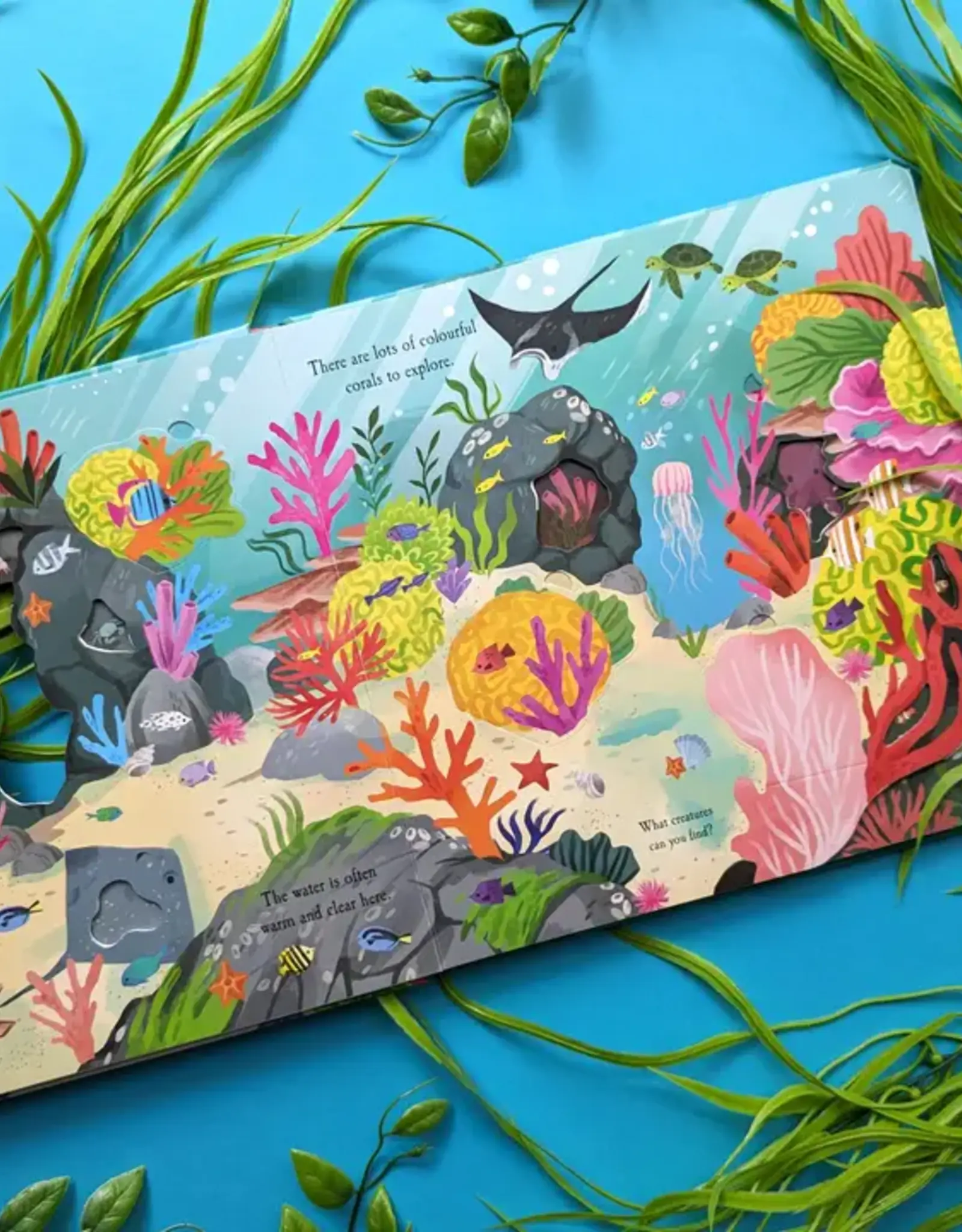 Robert Frederick Ltd Lift The Flap Book, Let's Explore The Ocean