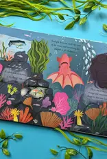 Robert Frederick Ltd Lift The Flap Book, Let's Explore The Ocean