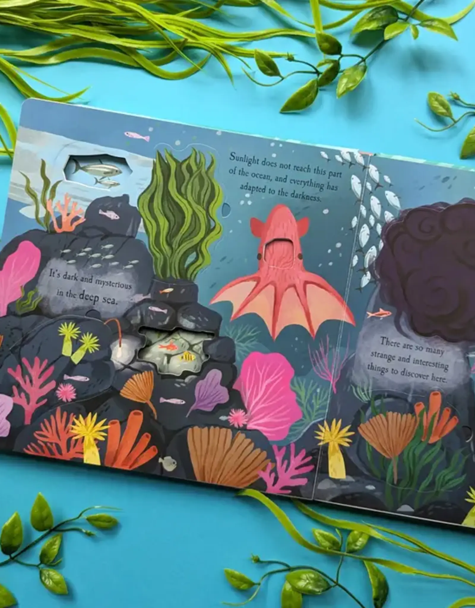 Robert Frederick Ltd Lift The Flap Book, Let's Explore The Ocean