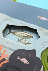 Robert Frederick Ltd Lift The Flap Book, Let's Explore The Ocean