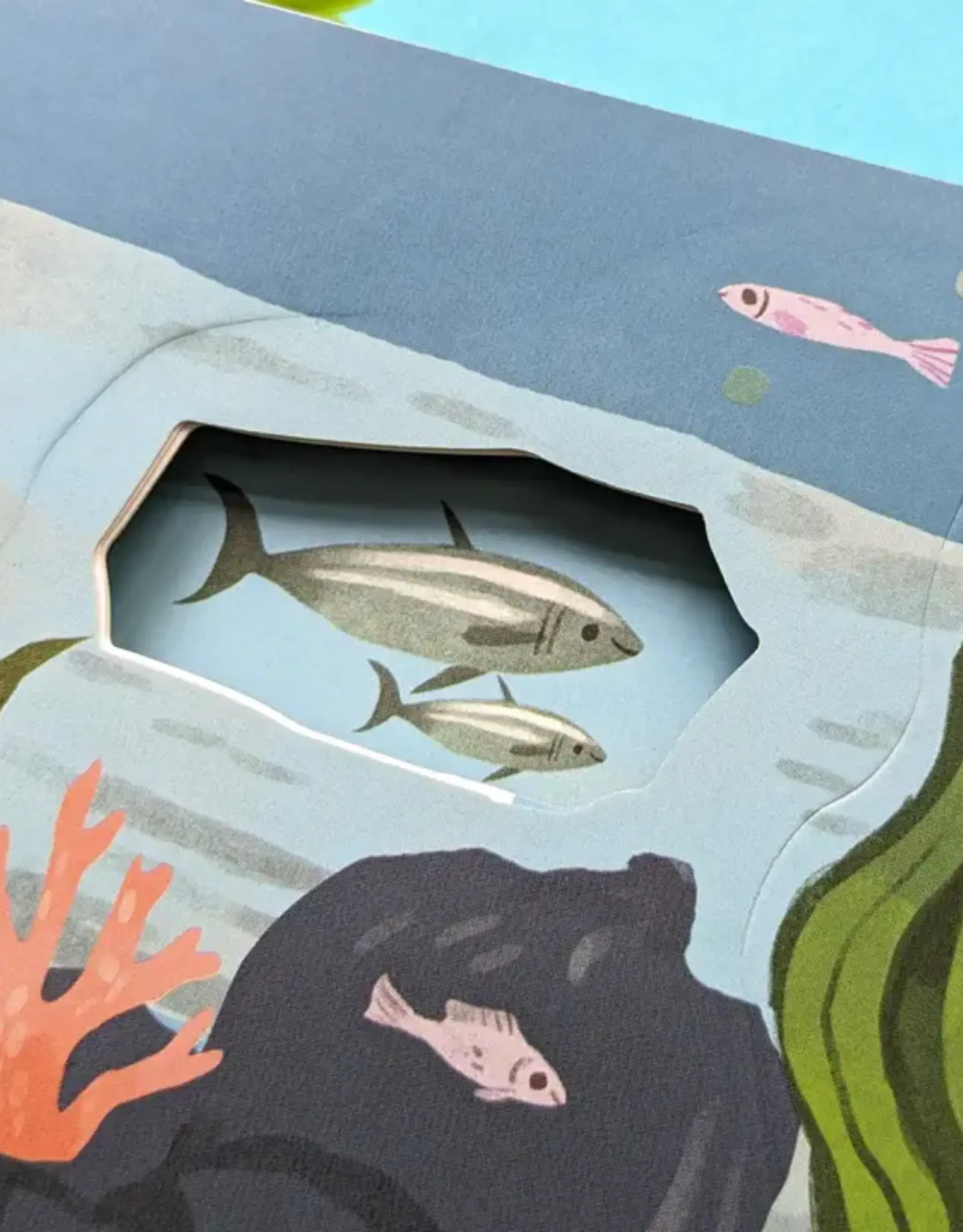 Robert Frederick Ltd Lift The Flap Book, Let's Explore The Ocean