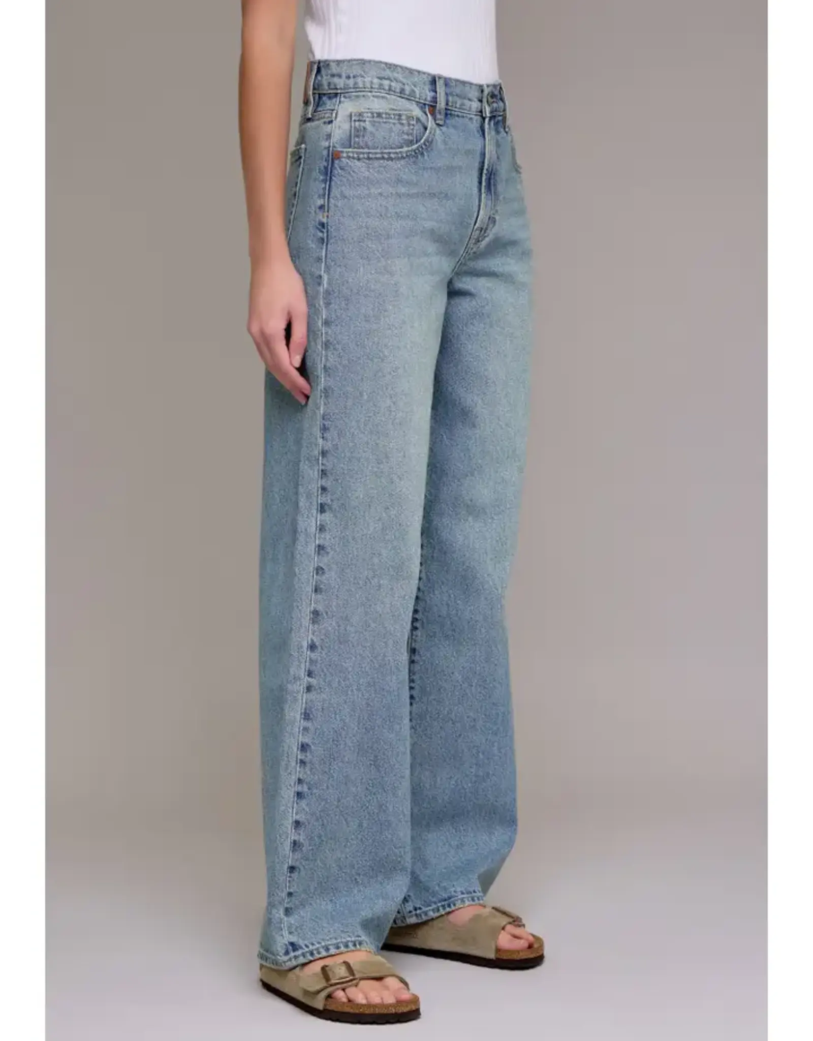 Hidden High Rise Vintage Wash Baggy Jeans
