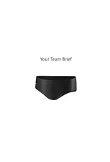 SAMPLE TEAM BRIEF