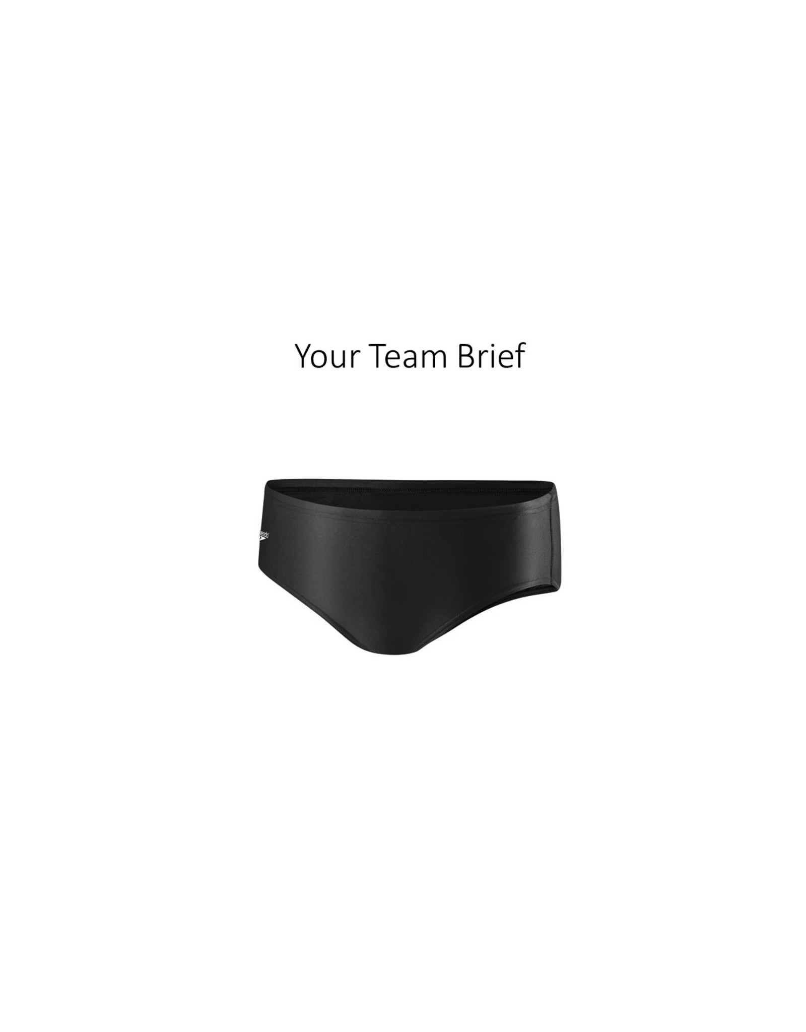 SAMPLE TEAM BRIEF