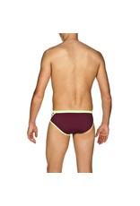 ARENA ARENA TEAM STRIPE BRIEF