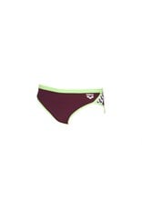 ARENA ARENA TEAM STRIPE BRIEF