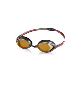 SPEEDO SPEEDO VANQUISHER 2.0 MIRRORED