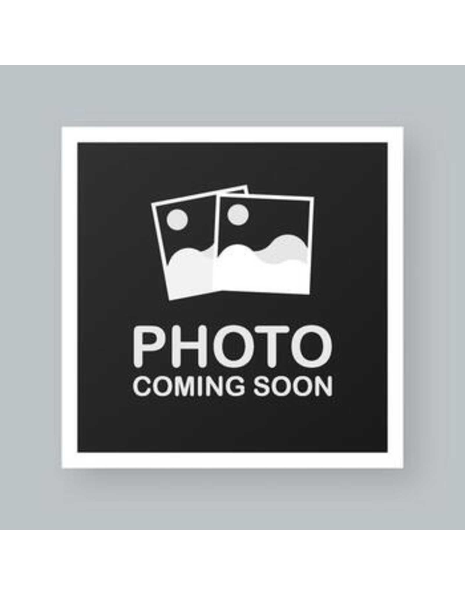 JOLYN JOLYN BRANDON 2 ONESIE