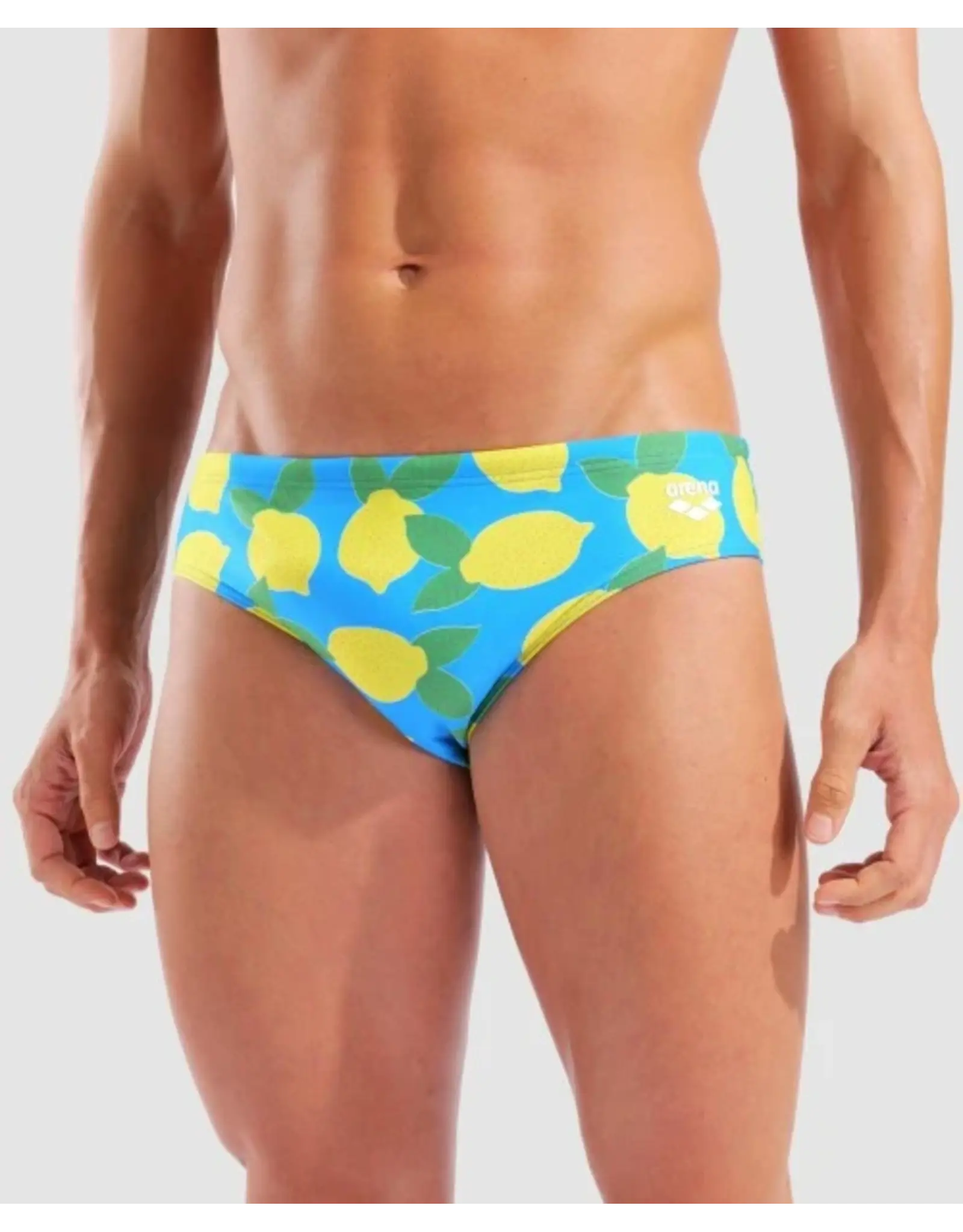 ARENA ARENA PRINTED BRIEF