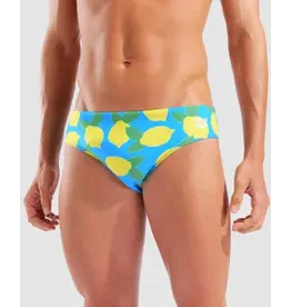 ARENA ARENA PRINTED BRIEF