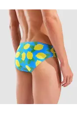 ARENA ARENA PRINTED BRIEF
