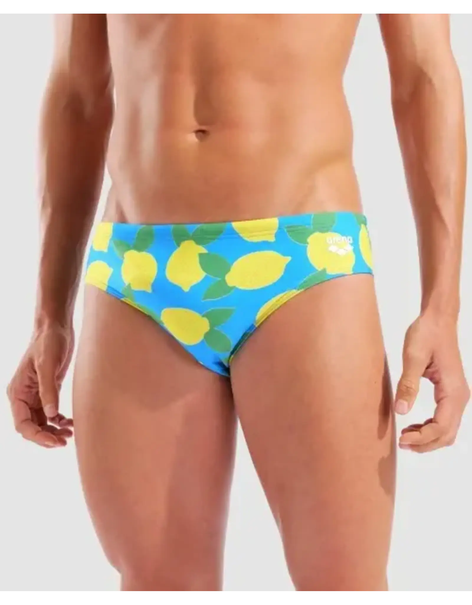 ARENA ARENA PRINTED BRIEF